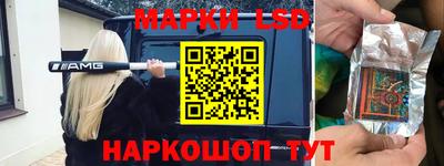 прущие грибы Партизанск